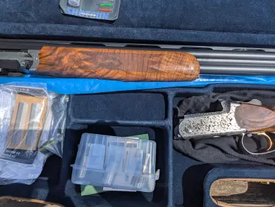 Gun Image 3