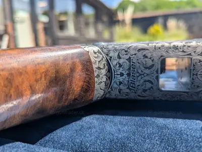 Gun Image 1