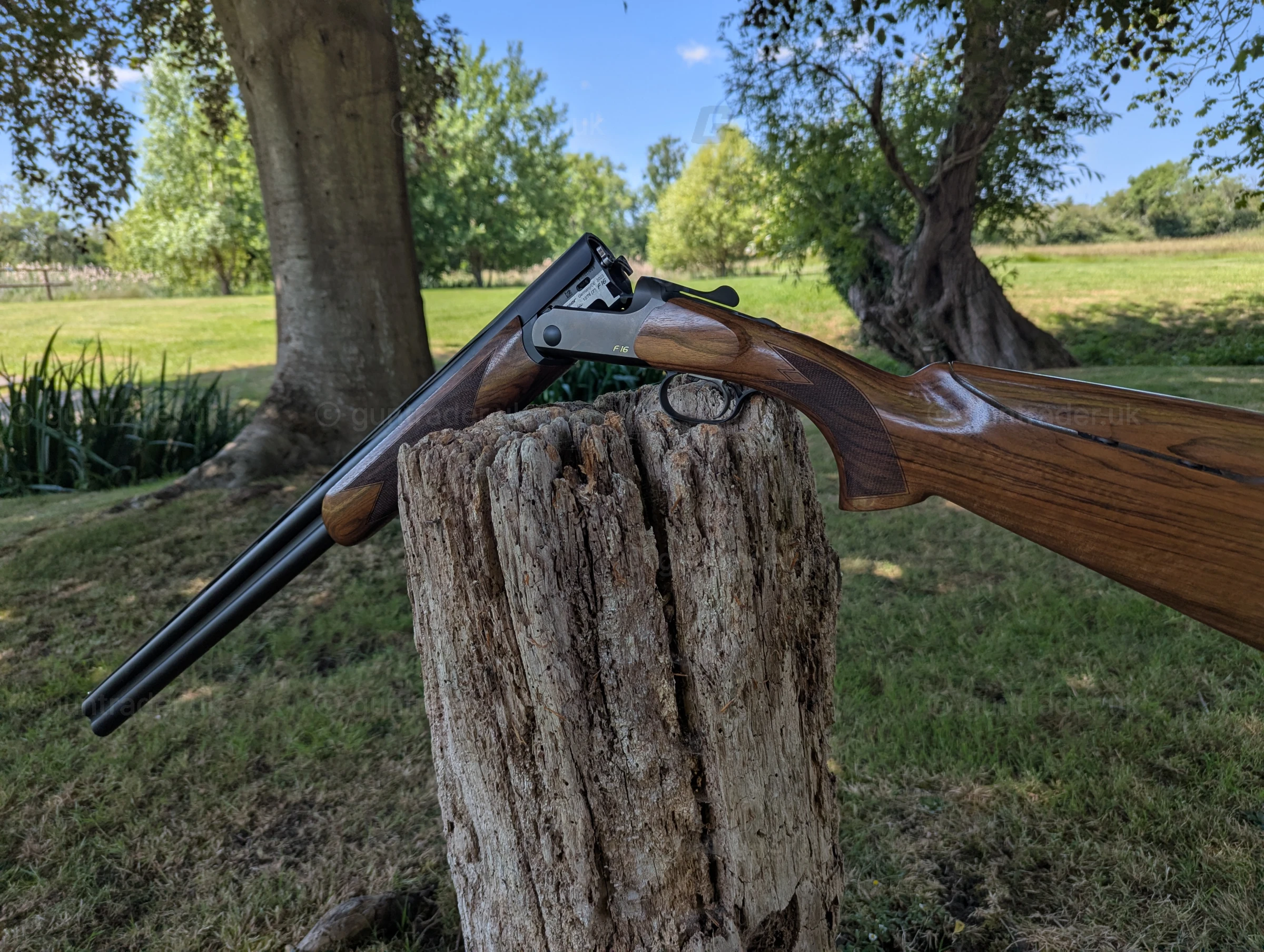 Photo of this gun