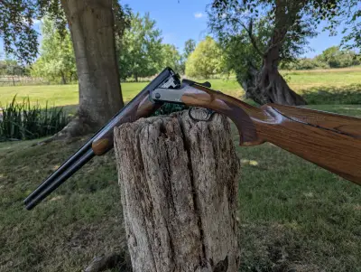 Gun Image 2