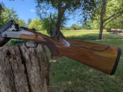 Gun Image 4