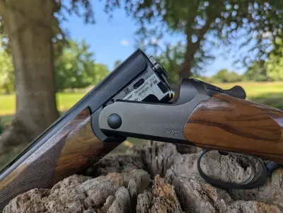 Gun Image 3
