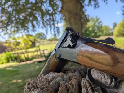 Gun Image 1
