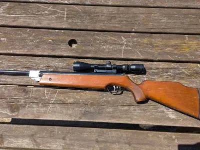 Gun Image 2
