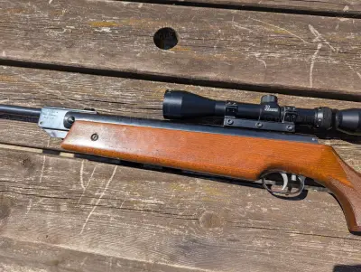 Gun Image 1