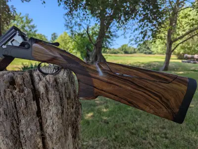 Gun Image 4