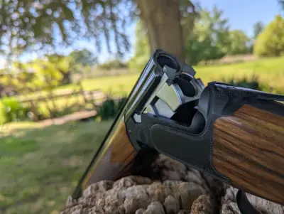 Gun Image 1