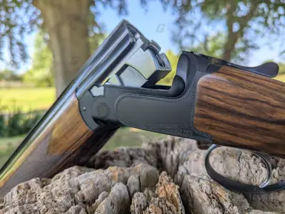 Gun Image 3