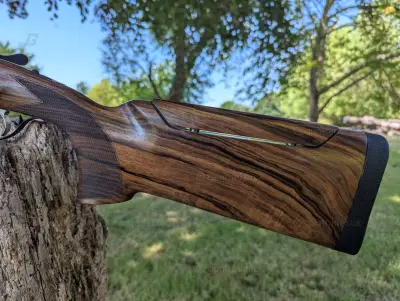 Gun Image 2