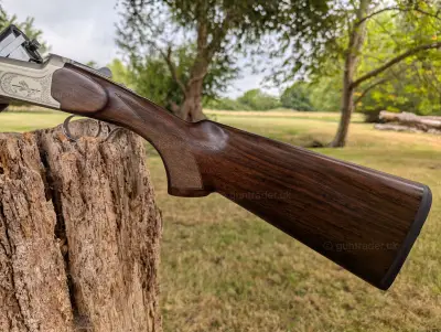 Gun Image 1