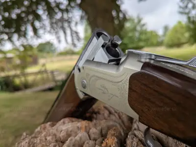 Gun Image 2