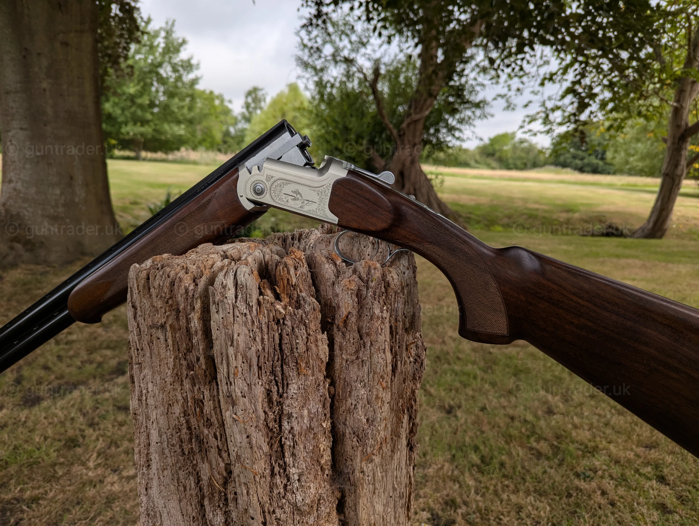 Photo of this gun