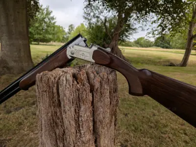 Gun Image 3