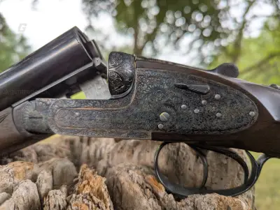 Gun Image 4