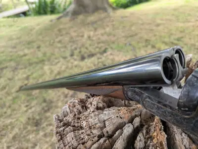 Gun Image 2