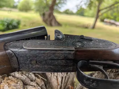 Gun Image 1