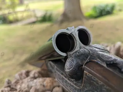 Gun Image 3