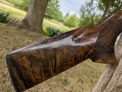 Gun Image 3