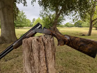 Gun Image 7