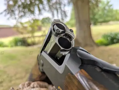 Gun Image 1