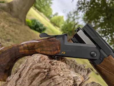 Gun Image 4