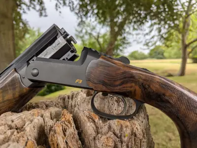 Gun Image 6
