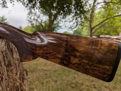 Gun Image 5