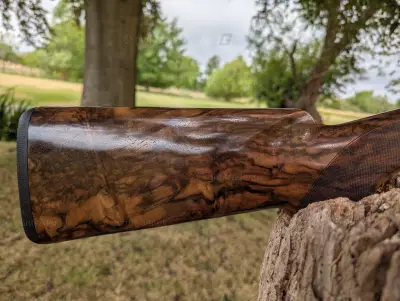 Gun Image 3