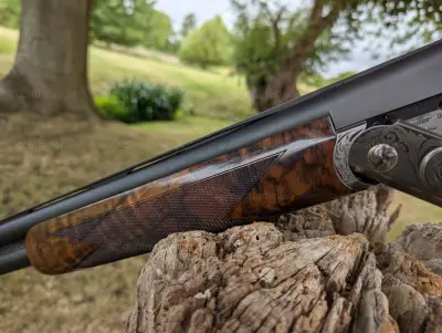 Gun Image 1