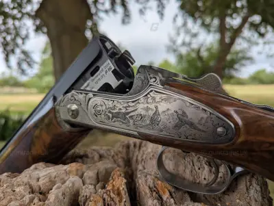 Gun Image 2