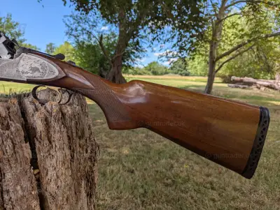Gun Image 3