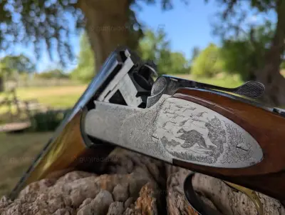 Gun Image 2