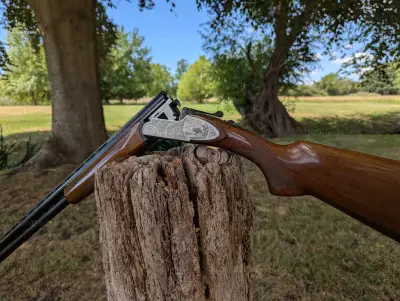 Gun Image 1