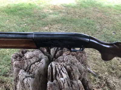 Gun Image 3