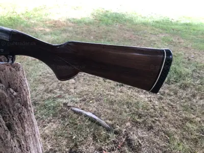Gun Image 1
