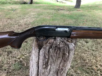 Gun Image 4