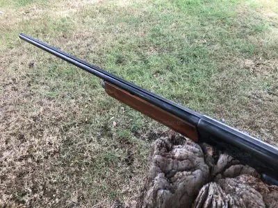 Gun Image 5