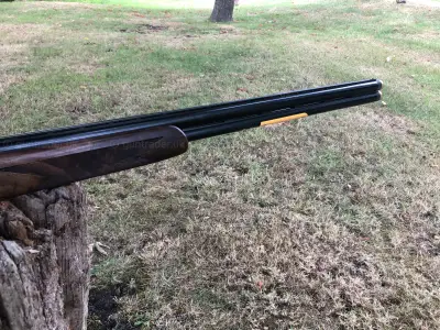 Gun Image 6