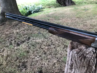 Gun Image 4