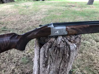 Gun Image 3
