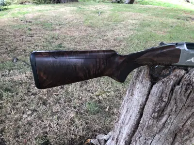 Gun Image 5