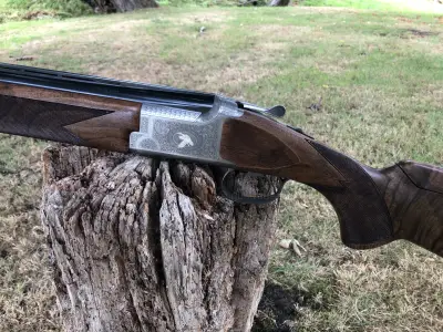 Gun Image 2