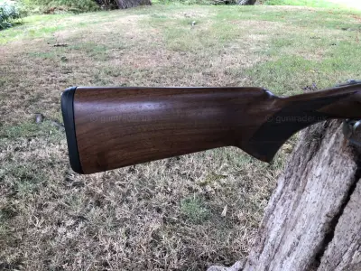Gun Image 5