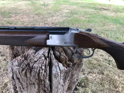Gun Image 1