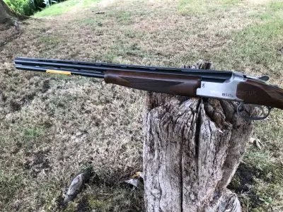 Gun Image 4