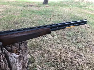 Gun Image 3
