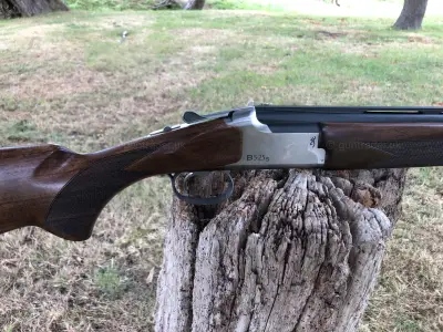 Gun Image 2