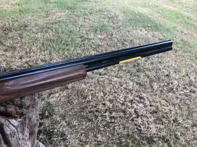 Gun Image 3
