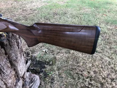 Gun Image 4