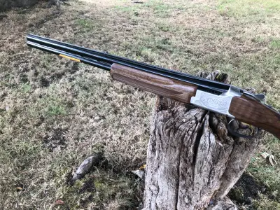 Gun Image 6